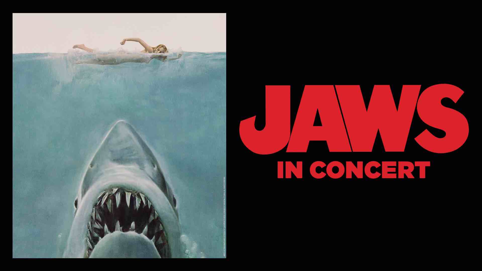 Jaws and logo